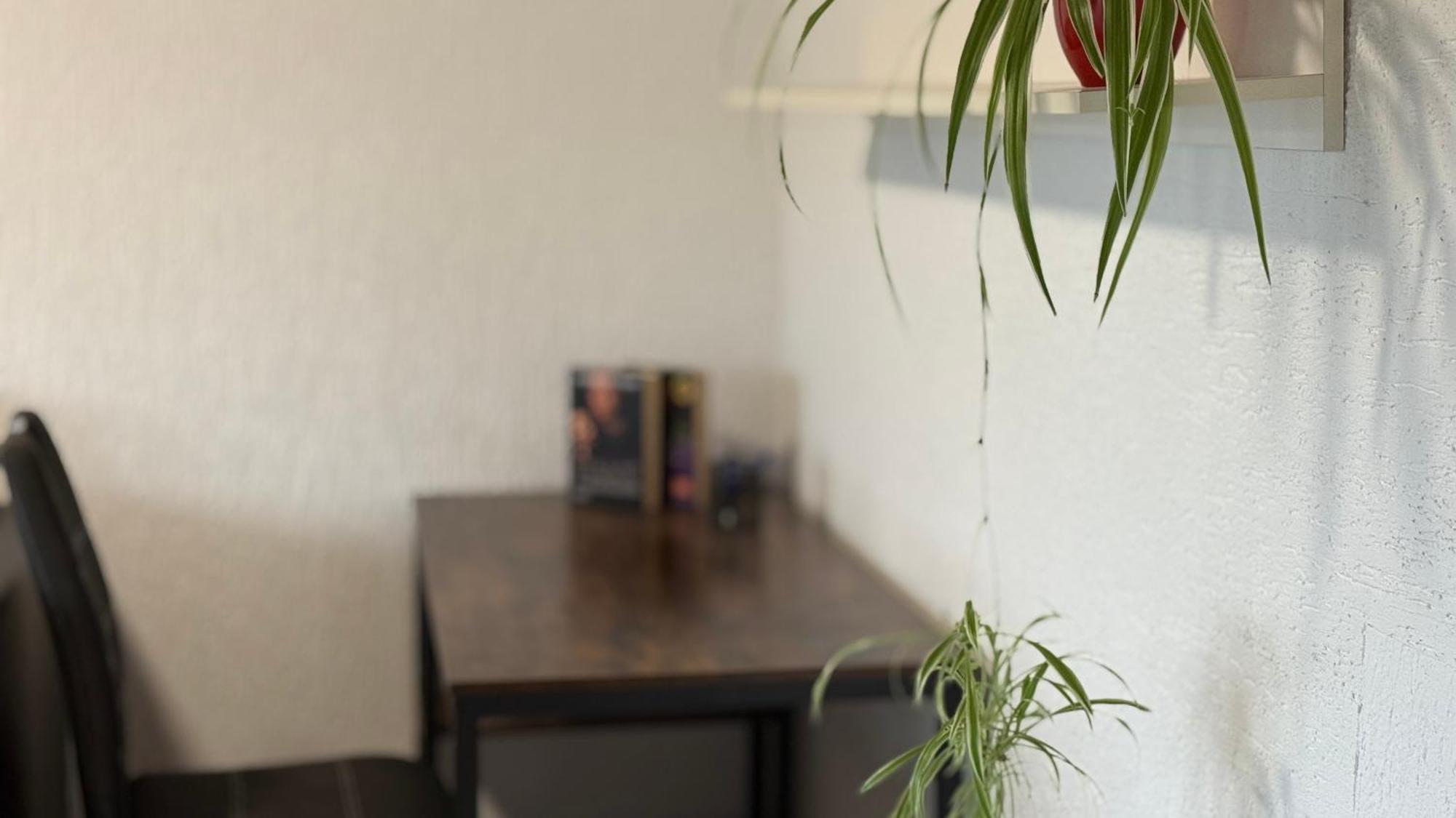 Gemuetliche 2 Zimmer Wohnung Bad Hersfeld Zewnętrze zdjęcie